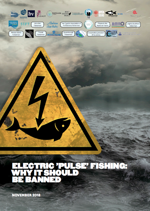 Bloom Association » Electric Pulse Fishing